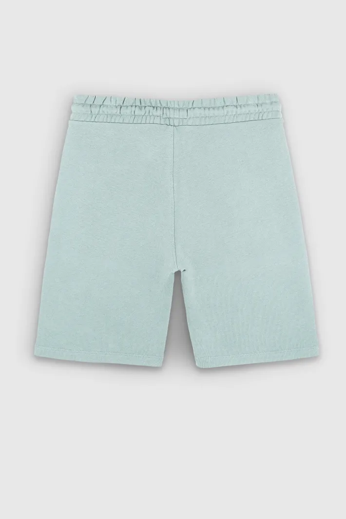 Teddy Smith Bermuda été confort en tissu molletonné S-NARKY SH STONE MINT STONEMINT Cheap