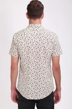 Teddy Smith Chemise col français à pinces C-LOYD MC NATUREL Cheap