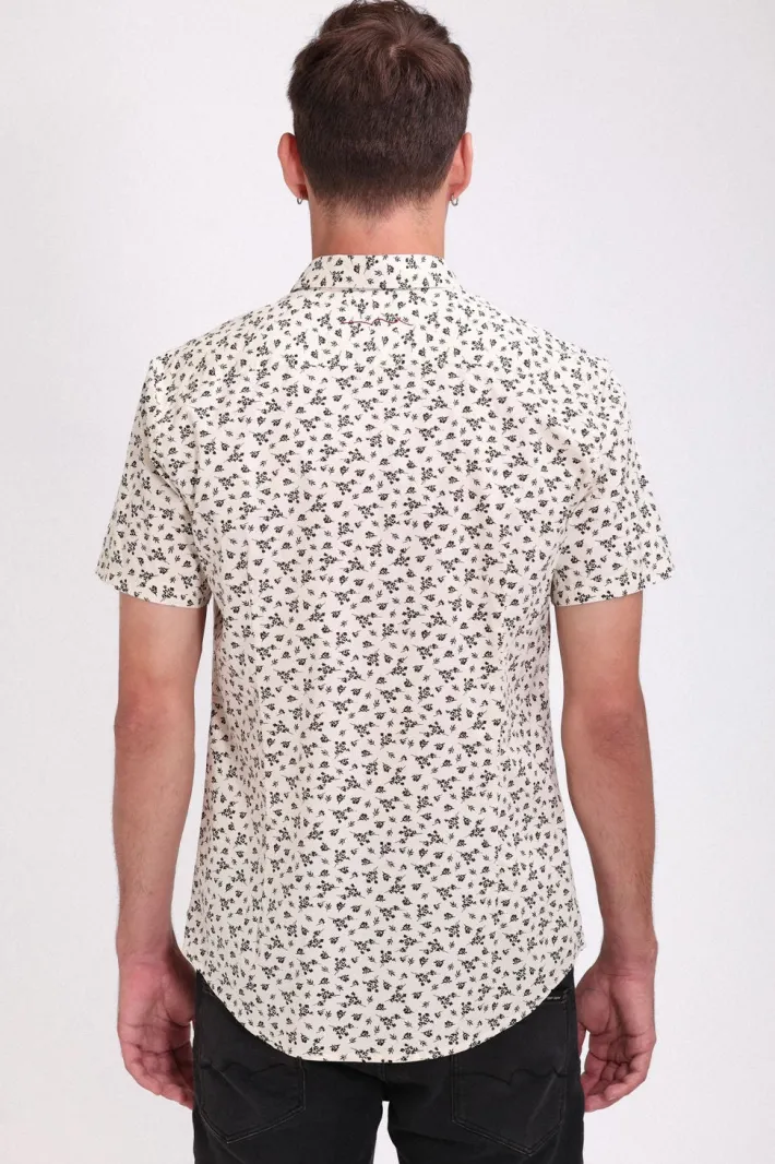 Teddy Smith Chemise col français à pinces C-LOYD MC NATUREL Cheap