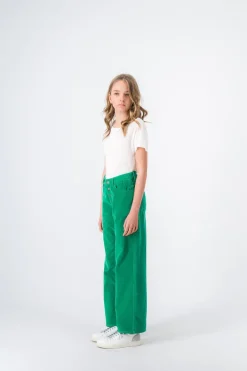 Teddy Smith Pantalon coupe droite P-ELECTRA JR BUTTON AMAZONE Best Sale