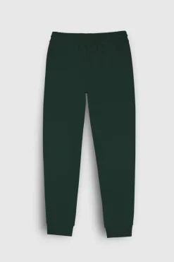Teddy Smith Pantalon jogging P-NARKY VERT SCARABE VERTSCARABE Online