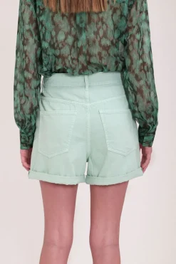 Teddy Smith Short coupe 5 poches taille haute S-MOM ROLLER CO STONE MINT STONEMINT Best Sale