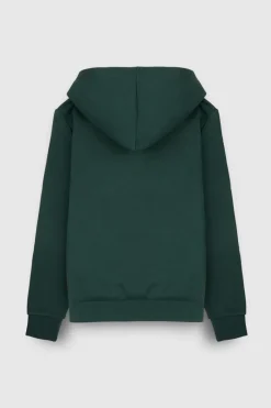 Teddy Smith Sweat à capuche S-NARK HOODY JR VERT SCARABE VERTSCARABE Store