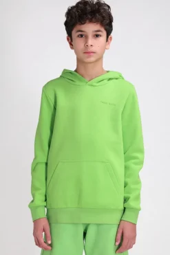 Teddy Smith Sweat à capuche S-NARK HOODY JR WASABI Best Sale