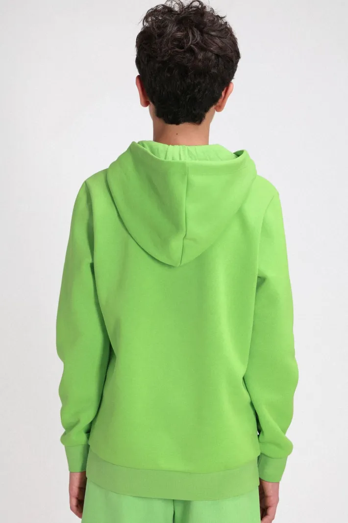 Teddy Smith Sweat à capuche S-NARK HOODY JR WASABI Best Sale
