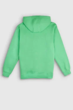 Teddy Smith Sweat à capuche S-NARK HOODY VERT CITRUS VERTCITRUS Store