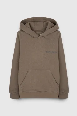 Teddy Smith Sweat molleton avec capuche REQUIRED HOOD KAKI BELUGA KAKIBELUGA Sale