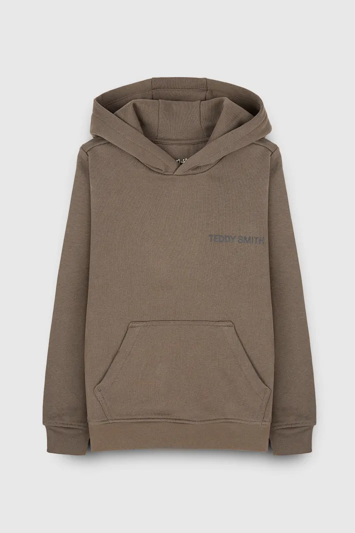 Teddy Smith Sweat molleton avec capuche REQUIRED HOOD KAKI BELUGA KAKIBELUGA Sale