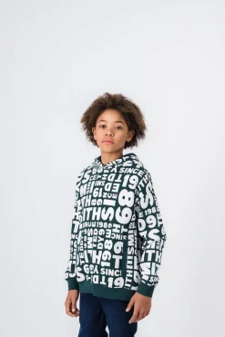 Teddy Smith Sweat-shirt à capuche BARRY HOODY JR VERT SCARABE Flash Sale