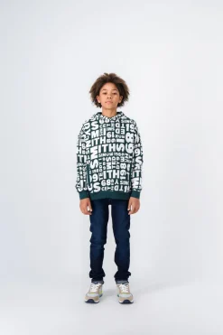 Teddy Smith Sweat-shirt à capuche BARRY HOODY JR VERT SCARABE Flash Sale