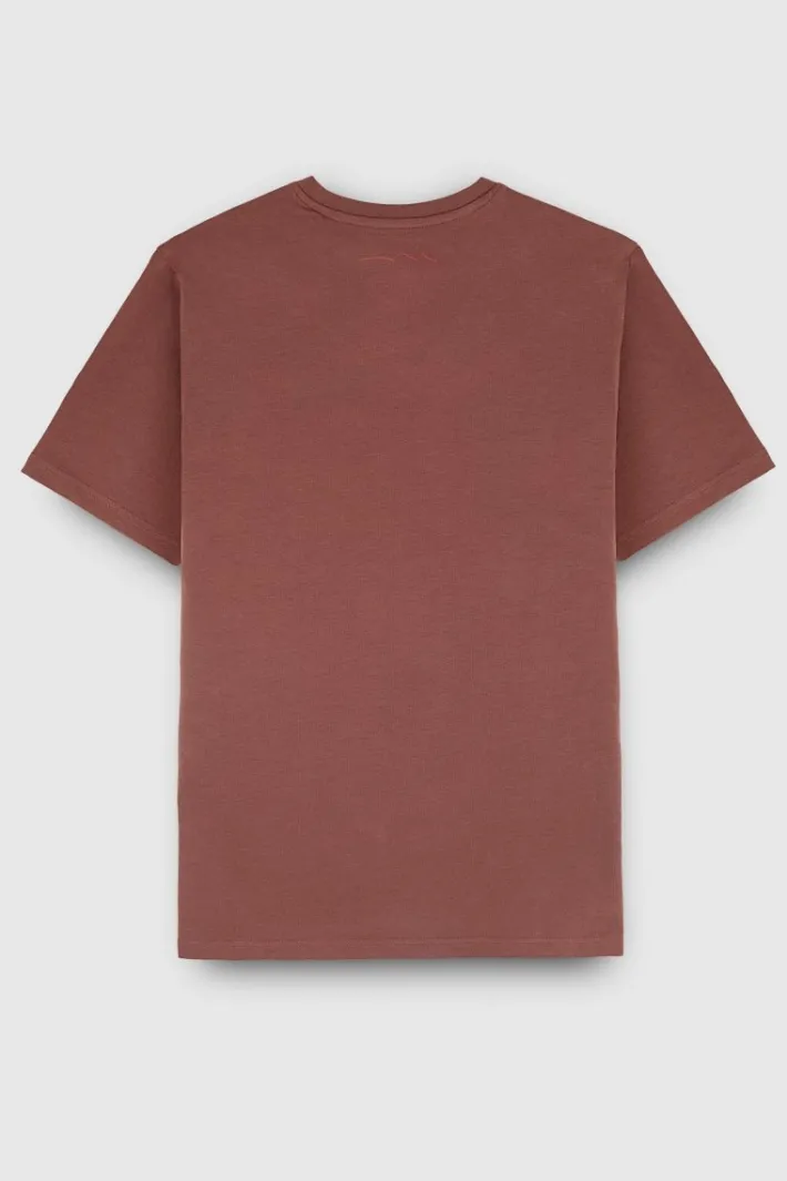 Teddy Smith T-shirt col V manches courtes TAWAX 2 MC DUSTY CANYON DUSTYCANYON Online