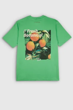 Teddy Smith T-shirt oversize col rond manches courtes T-EDIS MC VERT CITRUS VERTCITRUS Best Sale