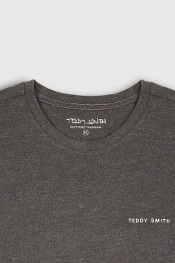 Teddy Smith T-shirt THE TEE 2 ML ANTHRACITE CHINE ANTHRACITECHINE Store