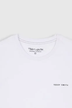 Teddy Smith T-shirt THE TEE 2 ML BLANC Best