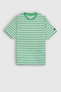 Teddy Smith T-shirt T-MARIN MC VERT CITRUS VERTCITRUS Cheap